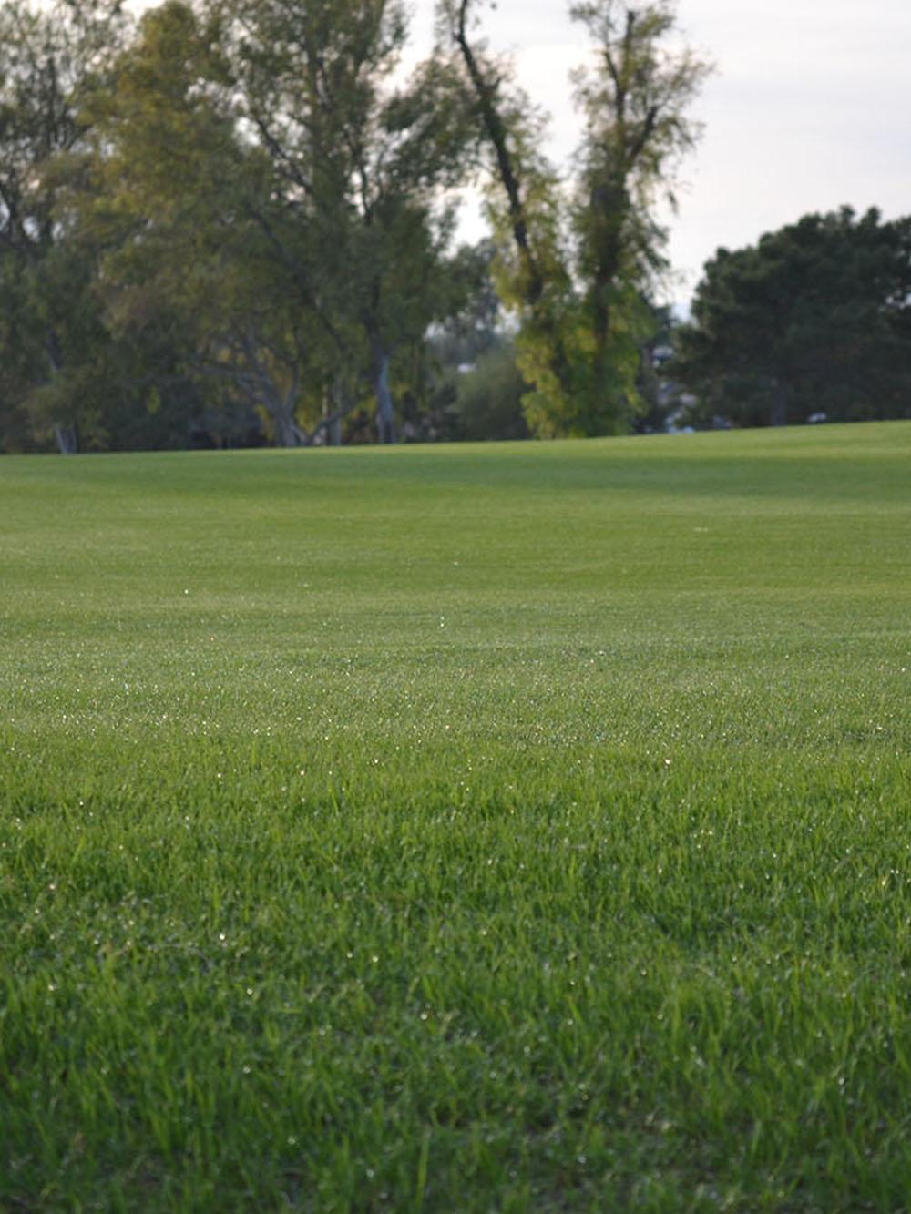 Flagstick